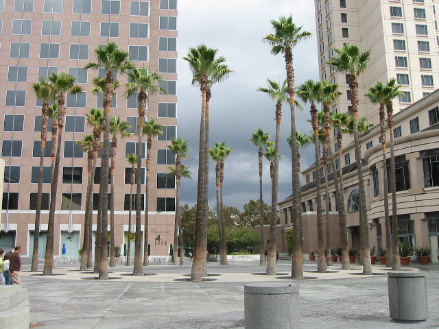 Circle of Palms