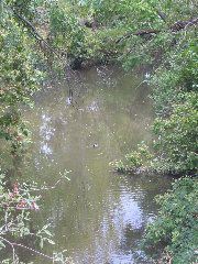 Guadalupe River