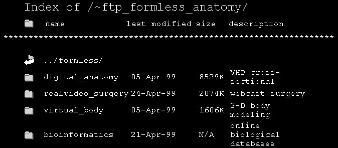 Eugene Thacker, ftp formless anatomy, screenshot